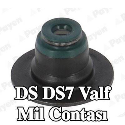PAYEN Valf mil contası — 2018 DS Ds7