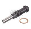 FEBI BILSTEIN Zincir gergisi — Ford Transit Connect (2)