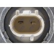 NTY Sensör, conta/sızdırmazlık elemanlı motor yağ seviyesi — Lexus Rx (4)