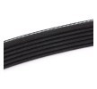 GATES V-Ribbed Kayış Seti Micro-V Kiti, Micro-V® Stretch Fit™ — 2017 Ford Ka (3)
