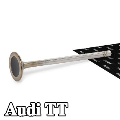 RIDEX صمام السحب مقعد صمام مقوى, طرف ساق الصمام المقوى — 2002 Audi Tt