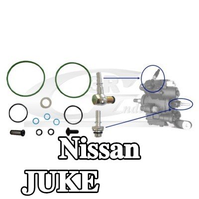 3RG مضخة الحقن — Nissan Juke