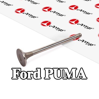 AMP صمام السحب — 2000 Ford Puma