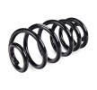 SACHS Helezon yay — 2000 Audi A4 (2)