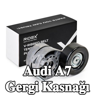 RIDEX Gergi kasnağı Dış Çap: 76mm, sigortalı — 2012 Audi A7