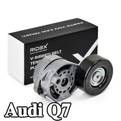 RIDEX بكرة الموتر القطر الخارجي: 76mm, مع مصهر — 2012 Audi Q7