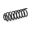 SACHS Helezon yay — Volkswagen Vento (2)