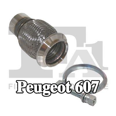 FA1 أنبوب إصلاح، المحول الحفاز — Peugeot 607