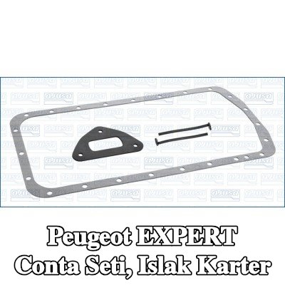 AJUSA Conta Seti, ıslak karter — Peugeot Expert