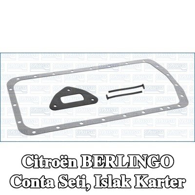 AJUSA Conta Seti, ıslak karter — Citroën Berlingo