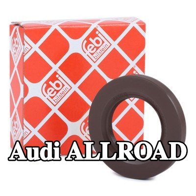FEBI BILSTEIN حشية العمود, التروس التفاضلية للمحور الخلفي — 2000 Audi Allroad