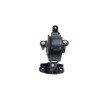 KAVO PARTS Motor yatağı, arka — Lexus Ct (4)