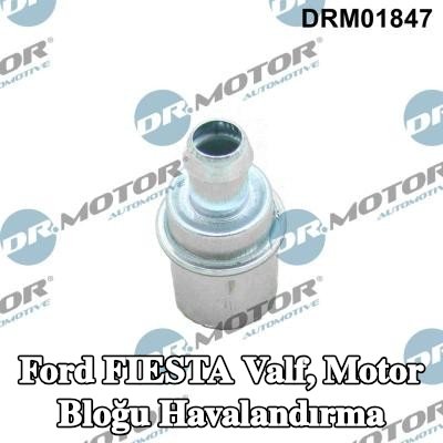 DR.MOTOR AUTOMOTIVE Valf, motor bloğu havalandırma — Ford Fiesta