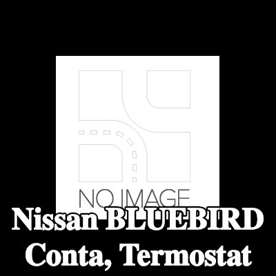 WAHLER Conta, termostat — Nissan Bluebird