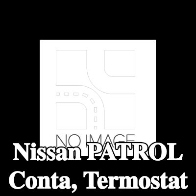 WAHLER Conta, termostat — 1990 Nissan Patrol