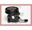 ESEN SKV Hidrolik direksiyon pompası — 1994 Ford Fiesta (3)