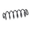SACHS Helezon yay — Volkswagen Eos (2)