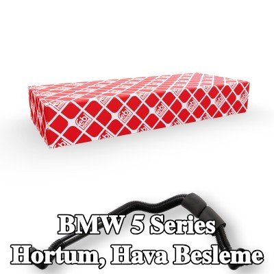 FEBI BILSTEIN Hortum, hava besleme — 2002 BMW 5 Series
