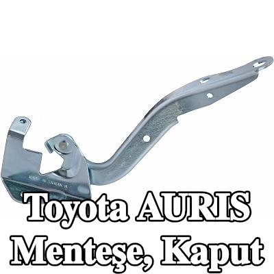 DIEDERICHS Menteşe, kaput — Toyota Auris