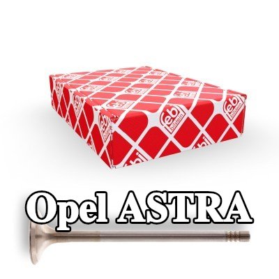 FEBI BILSTEIN صمام العادم — 2012 Opel Astra