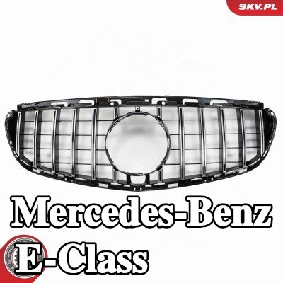 ESEN SKV شبكة المبرد فضية — 2012 Mercedes-Benz E-Class