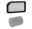 RIDEX PLUS Filtre kiti — Kia Soul (2)