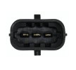 HELLA Kurum partikül filtresinden önceki egzoz basınç sensörü — Renault Modus / Grand Modus (2)