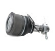 RIDEX Ön aks rotili, 15, 5mm — Honda Element (3)