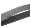 RIDEX PLUS Serpantin kayışı 1210mm, Number of ribs: 5 — Chevrolet Chevy (4)