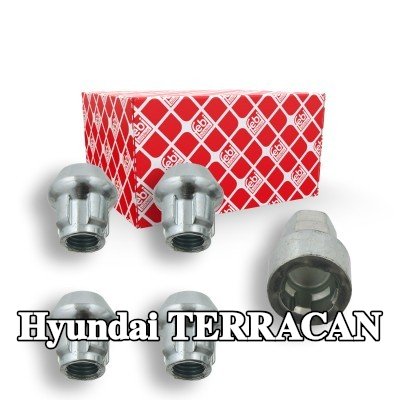 FEBI BILSTEIN مسامير تثبيت العجلات — Hyundai Terracan