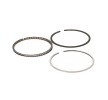 RIDEX Piston Segman Kiti — Chevrolet Spark (2)