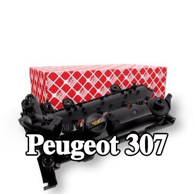 FEBI BILSTEIN غطاء الروك مع حشية/مانع تسرب — 2002 Peugeot 307