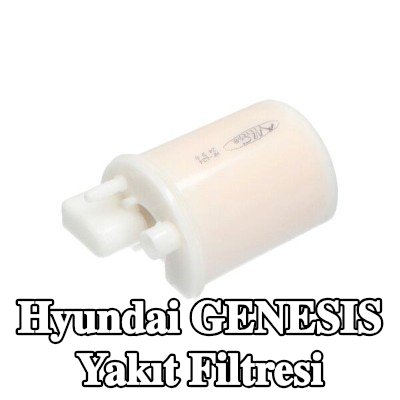 KAVO PARTS Yakıt filtresi — 2008 Hyundai Genesis