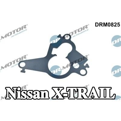 DR.MOTOR AUTOMOTIVE حشية، مكبس مضخة التفريغ — Nissan X-trail
