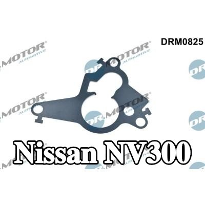 DR.MOTOR AUTOMOTIVE حشية، مكبس مضخة التفريغ — Nissan Nv300