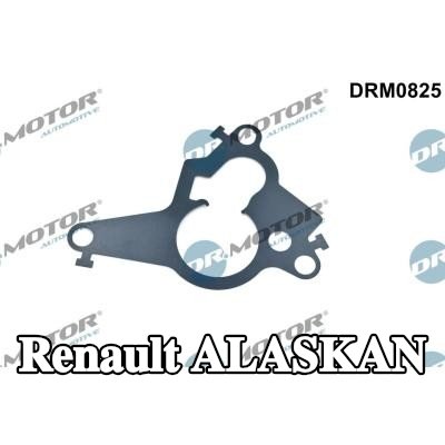 DR.MOTOR AUTOMOTIVE حشية، مكبس مضخة التفريغ — Renault Alaskan