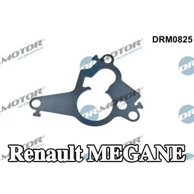 DR.MOTOR AUTOMOTIVE حشية، مكبس مضخة التفريغ — Renault Megane