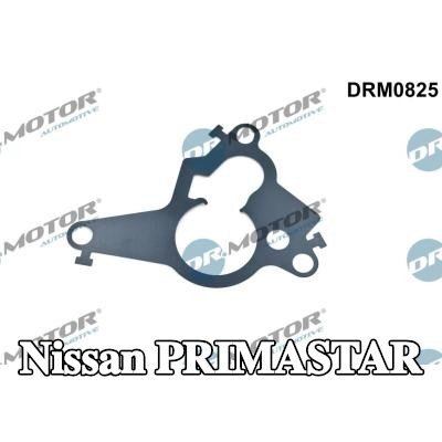 DR.MOTOR AUTOMOTIVE حشية، مكبس مضخة التفريغ — Nissan Primastar