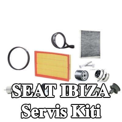 RIDEX Servis kiti — 2008 SEAT Ibiza