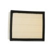 RIDEX Filtre kiti — 2002 Renault Laguna (3)