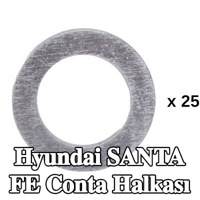 RIDEX Conta halkası — Hyundai Santa Fe