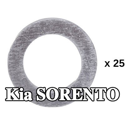 RIDEX حلقة مانعة للتسرب — Kia Sorento