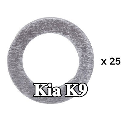 RIDEX حلقة مانعة للتسرب — Kia K9