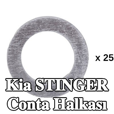 RIDEX Conta halkası — Kia Stinger