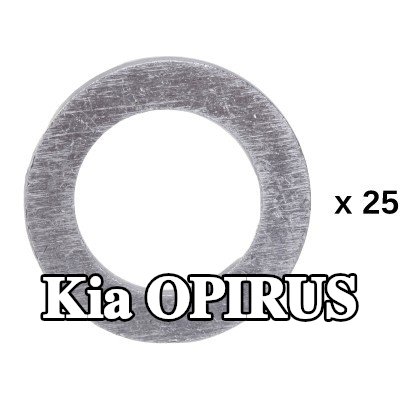 RIDEX حلقة مانعة للتسرب — Kia Opirus
