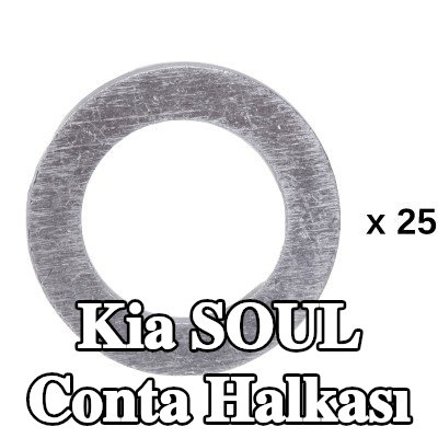 RIDEX Conta halkası — Kia Soul