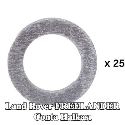RIDEX Conta halkası — 2002 Land Rover Freelander