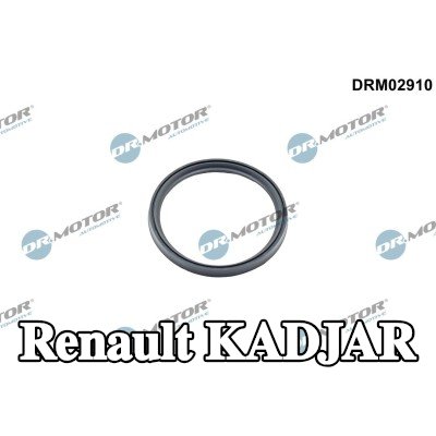DR.MOTOR AUTOMOTIVE مانع تسرب، الشاحن — Renault Kadjar