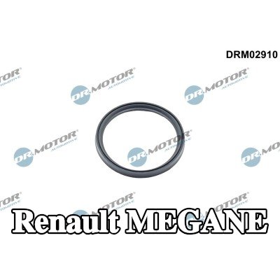 DR.MOTOR AUTOMOTIVE مانع تسرب، الشاحن — Renault Megane