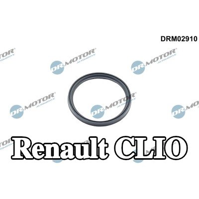 DR.MOTOR AUTOMOTIVE مانع تسرب، الشاحن — Renault Clio